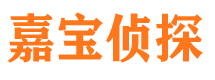 方城侦探公司